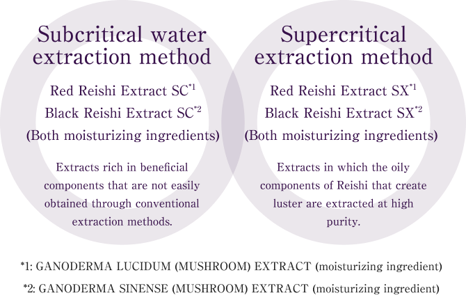 Subcritical water extraction method Supercritical extraction method Red Reishi Extract SC*1 Black Reishi Extract SC*2 (Both moisturizing ingredients) Red Reishi Extract SX Black Reishi Extract SX (Both moisturizing ingredients)  Extracts rich in beneficial components that are not easily obtained through conventional extraction methods. Extracts in which the oily components of Reishi that create luster are extracted at high purity. *1: GANODERMA LUCIDUM (MUSHROOM) EXTRACT (moisturizing ingredient) *2: GANODERMA SINENSE (MUSHROOM) EXTRACT (moisturizing ingredient) 